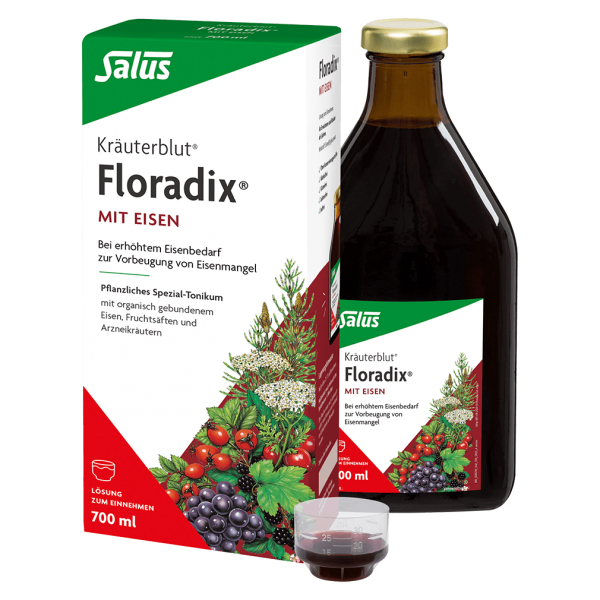 Salus Floradix® Kräuterblut mit Eisen