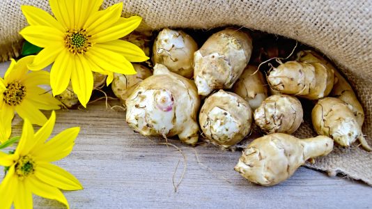 Topinambur auf Brett mit gelben Blüten